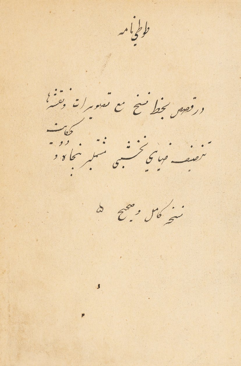 Contos Tuti-Name de um papagaio, c. 1560 de Unbekannt