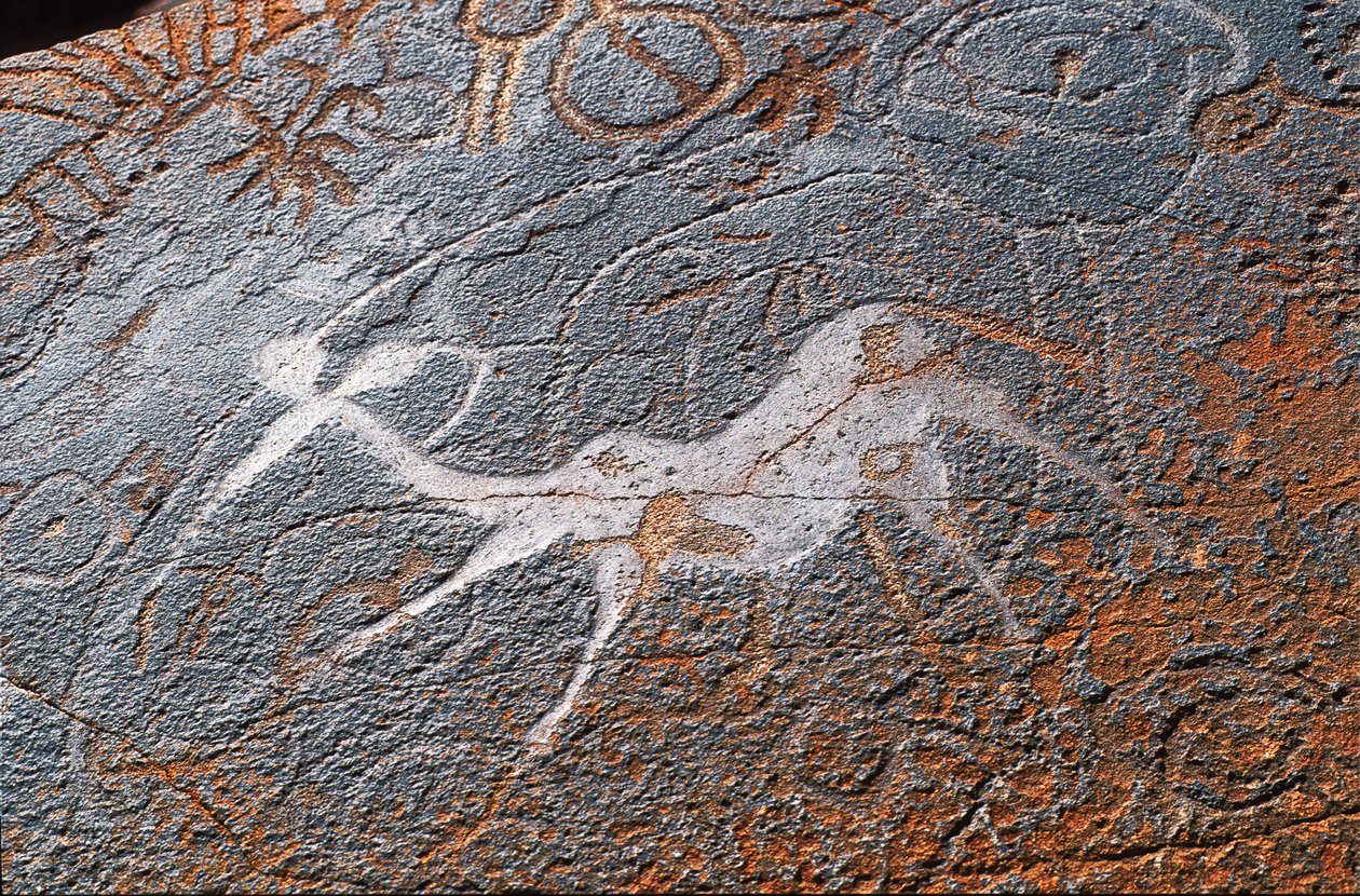 Twyfelfontein rock paintings, DAMARALAND, NAMIBIE de Unbekannt