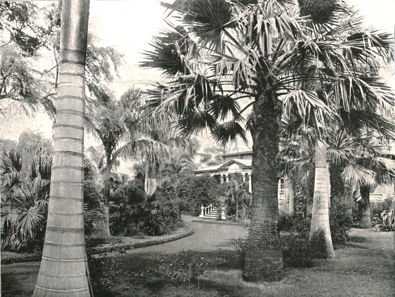 Jarda havaiana típica, Honolulu, EUA, 1895. de Unbekannt