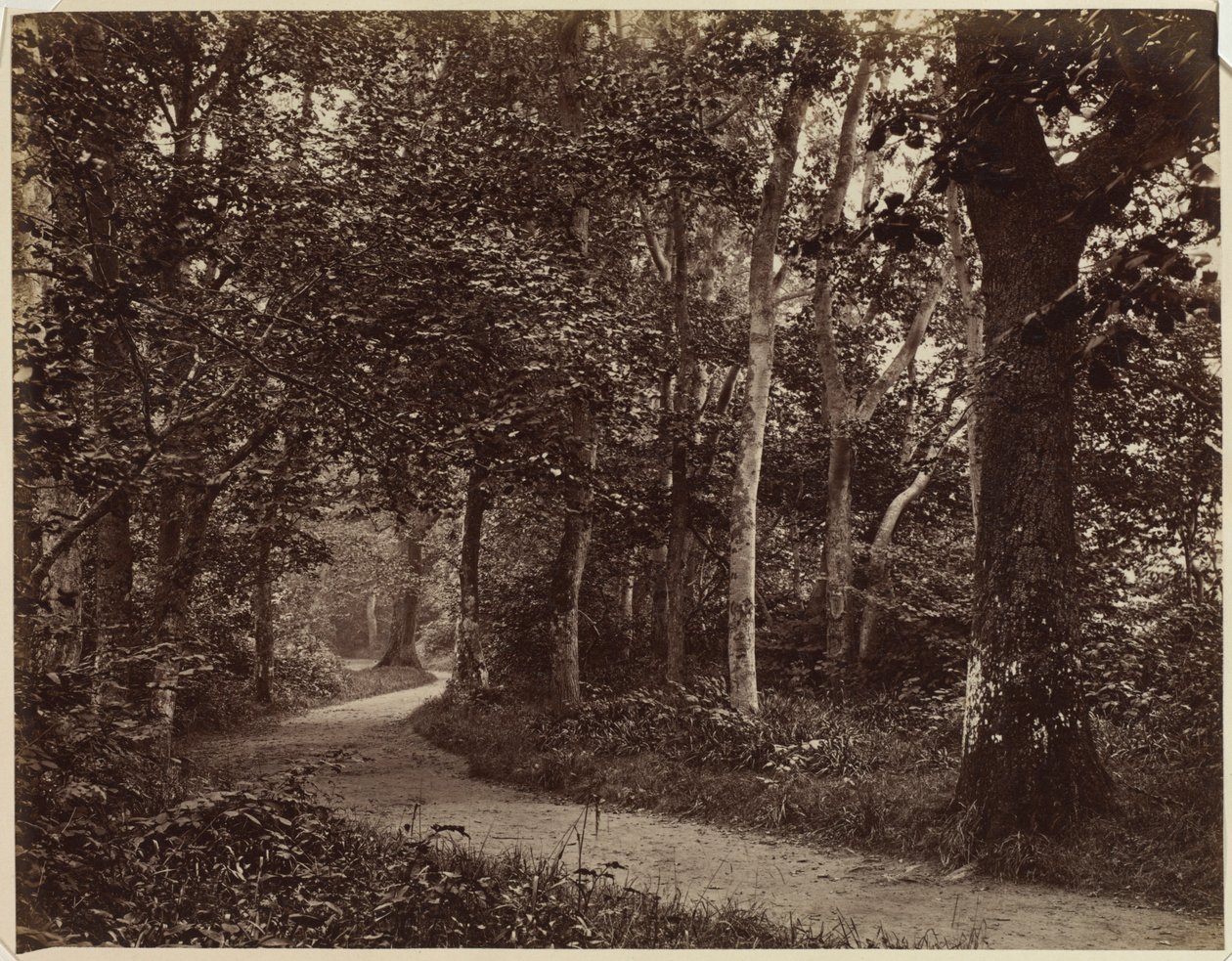 Paisagem sem título, início dos anos 1860. de Unbekannt