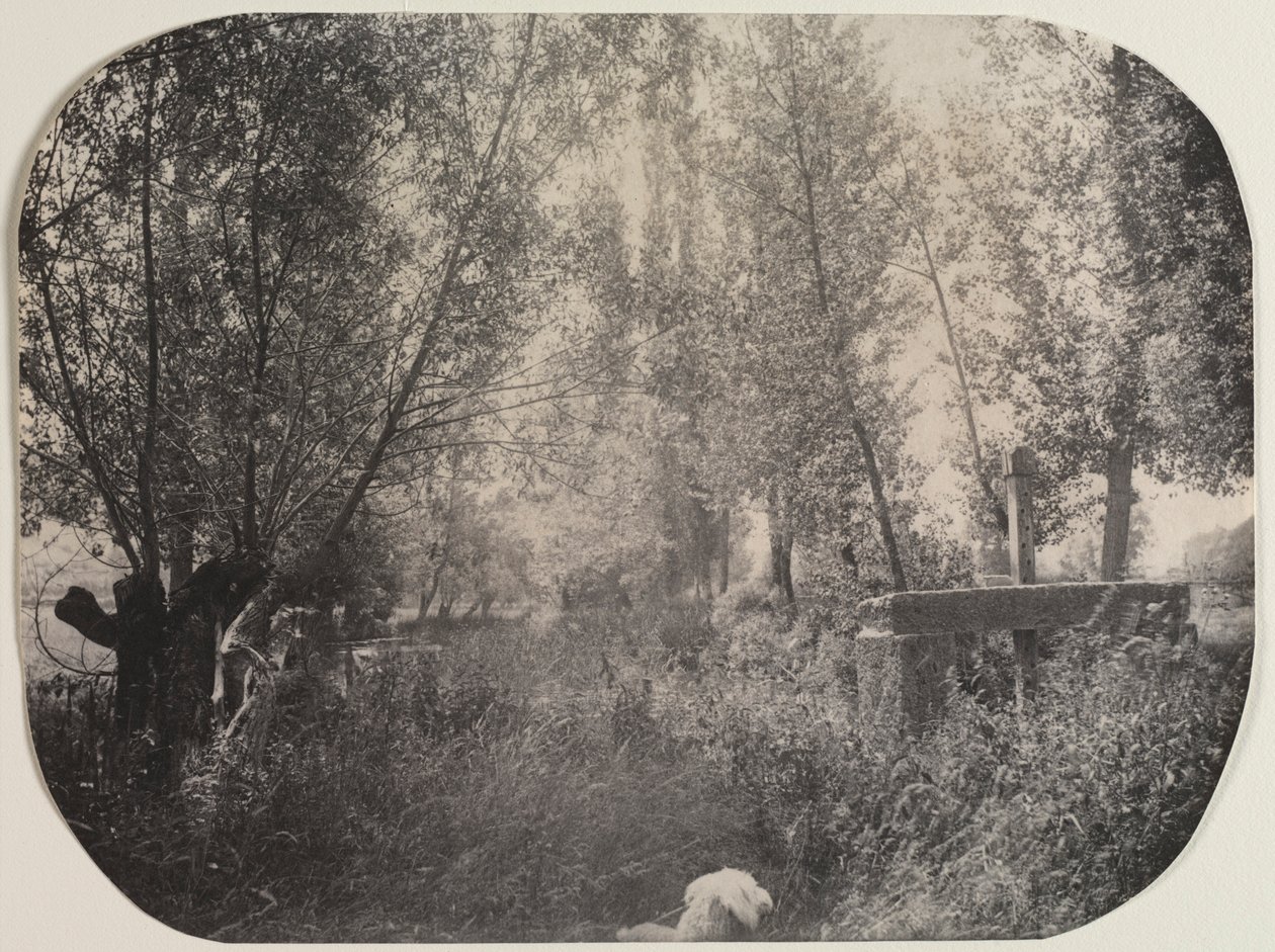 Paisagem sem título com cachorro, c. 1910 de Unbekannt