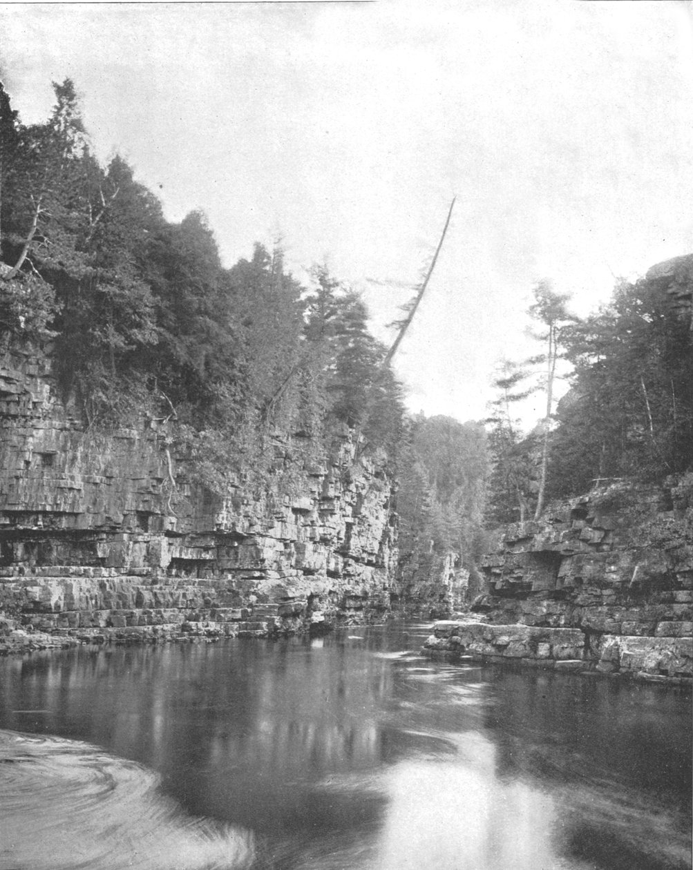 Extremidade superior do abismo disponível, Adirondacks, Estado de Nova York, EUA, c1900. de Unbekannt