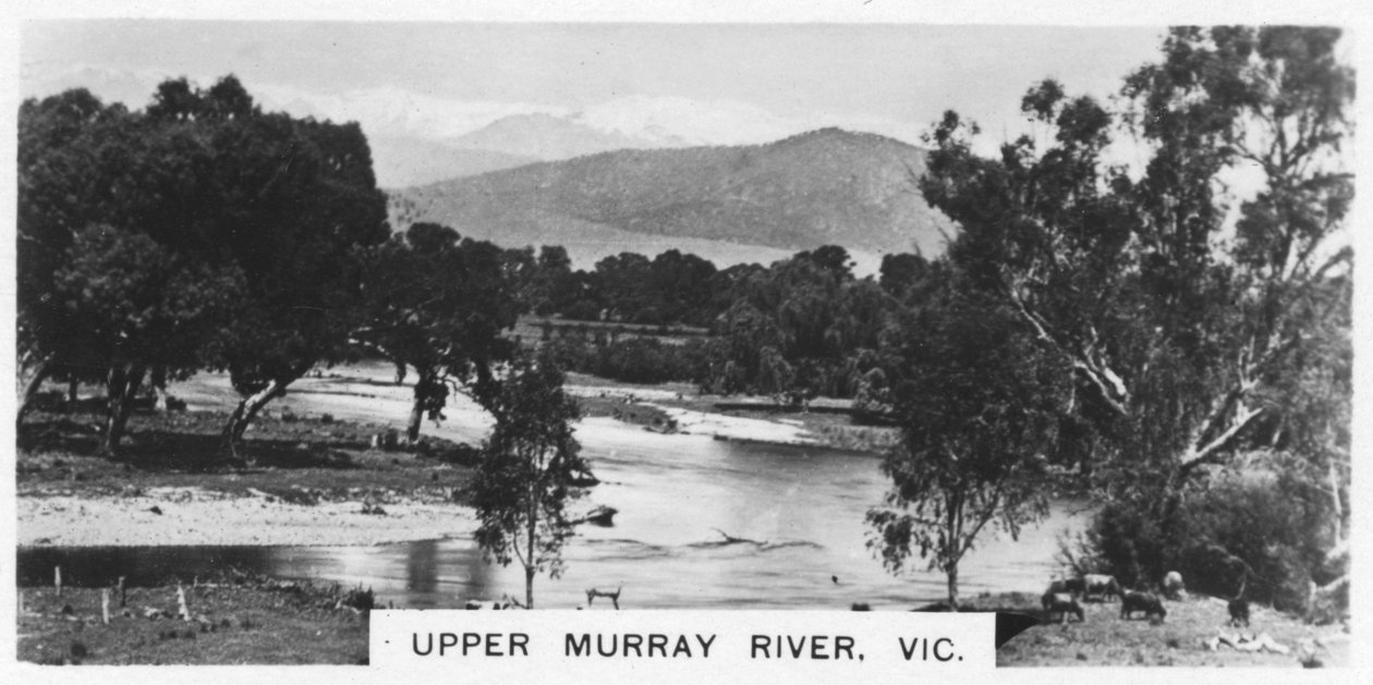 Upper Murray River, Victoria, Austrália, 1928 de Unbekannt