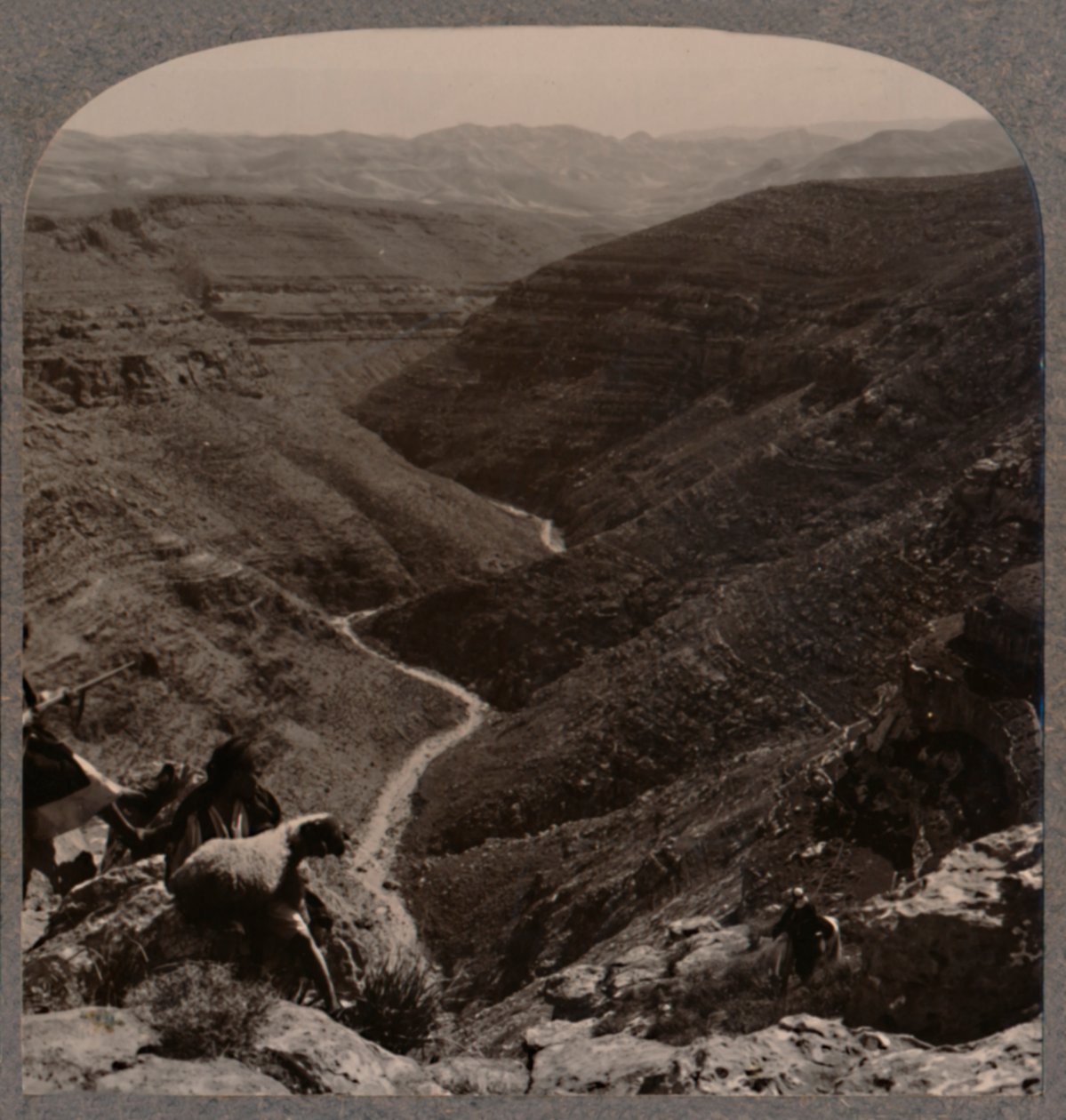Vale do Arno, pastor e ovelhas em primeiro plano, c1900 de Unbekannt