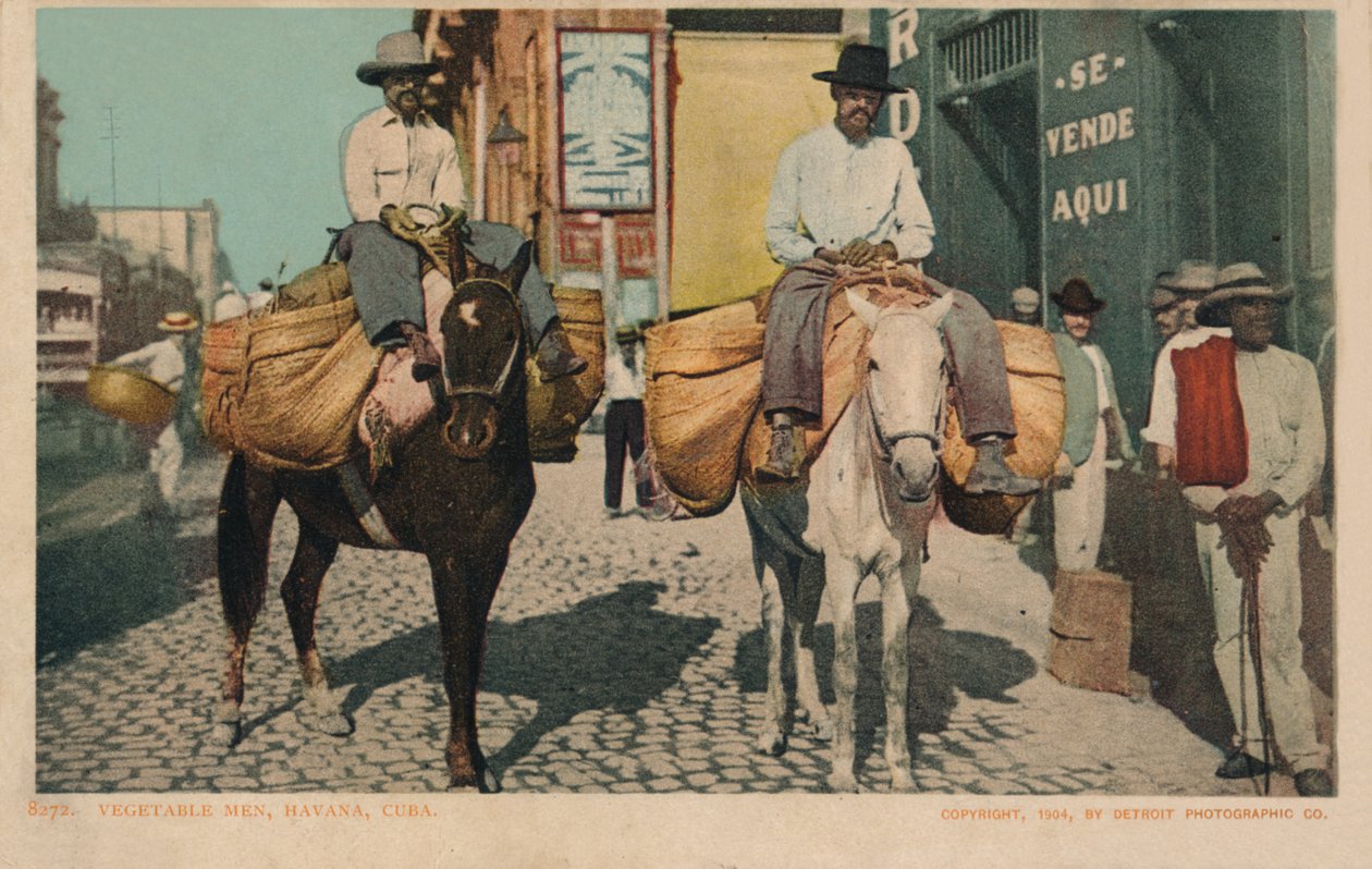 Homens vegetais, Havana, Cuba, 1904 de Unbekannt