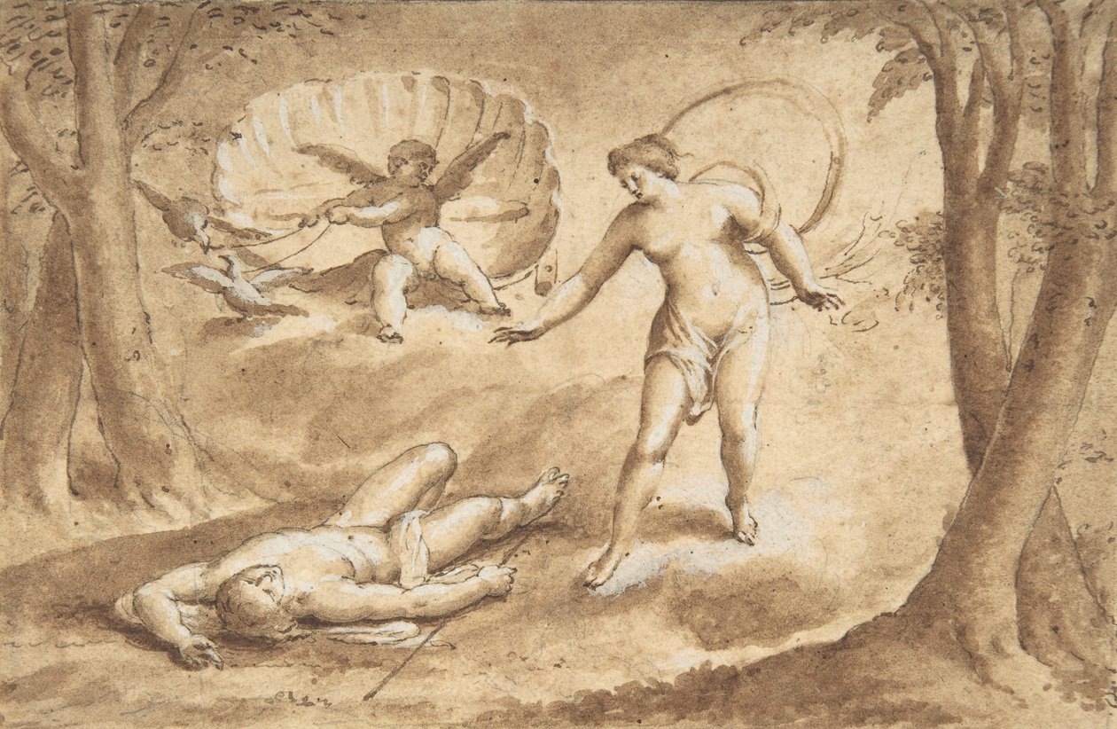 Vênus descobrindo a morte de Adonis, século XVII. de Unbekannt