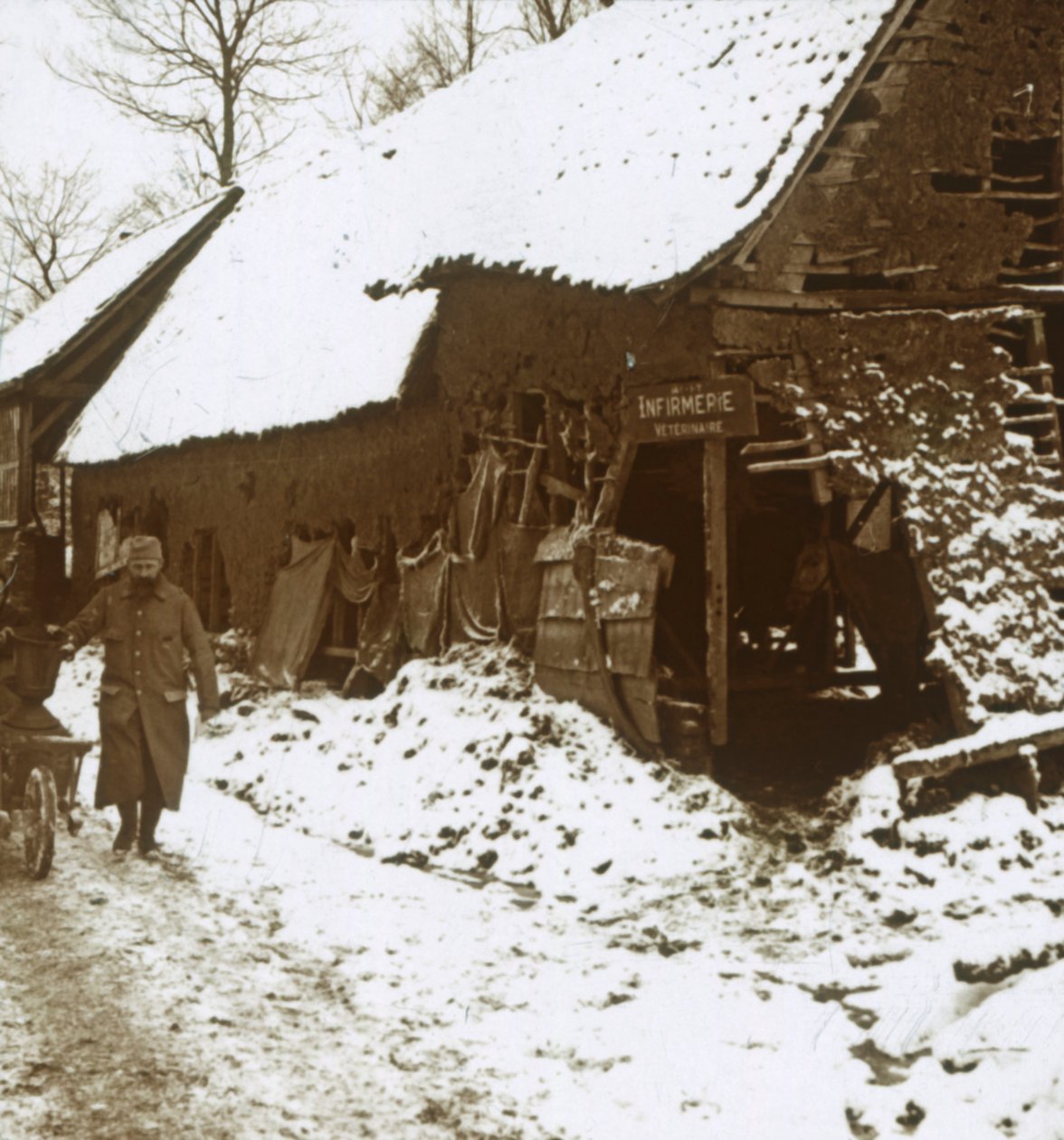 Estação veterinária para cavalos, Calonne, norte da França, c1914-c1918 de Unbekannt