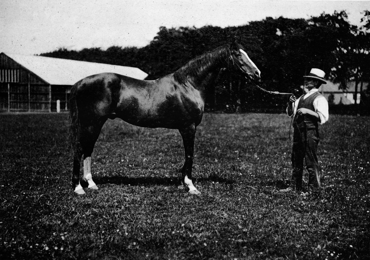Victor Wild, 1911 de Unbekannt