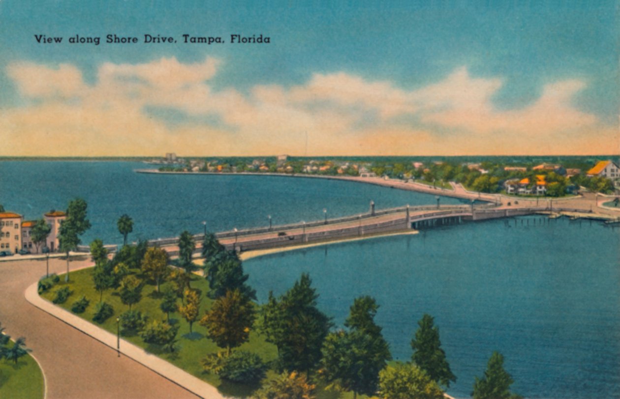 Vista, ao longo, costa, movimentação, tampa, flórida, c1940s de Unbekannt