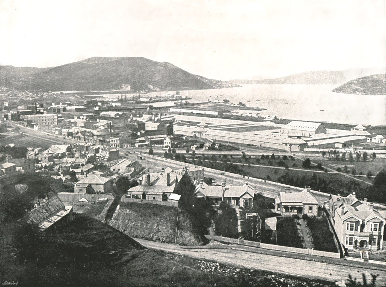 Vista da rua Maitland, Dunedin, Nova Zelândia, 1895. de Unbekannt