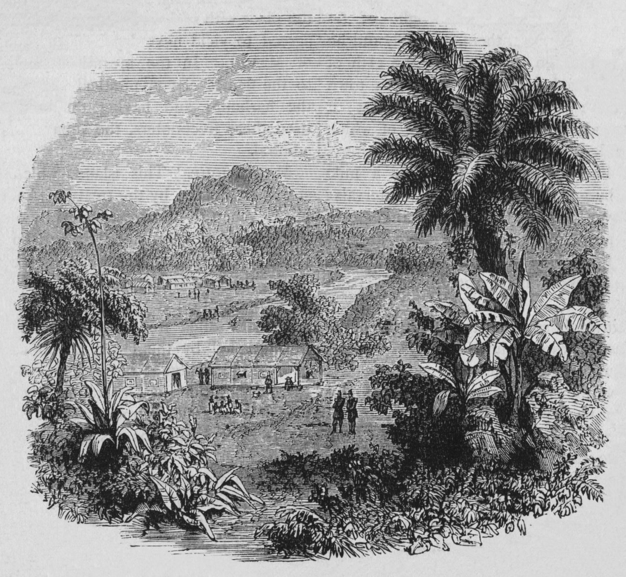 Vista em Cayenne, c1880 de Unbekannt