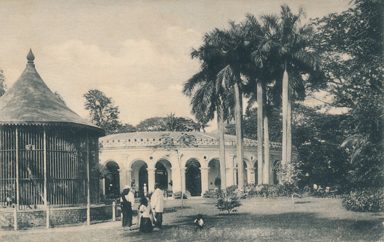 Vista nos jardins zoológicos, Calcutá, c1910. de Unbekannt