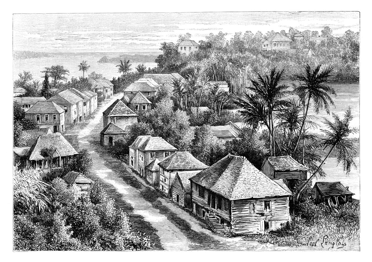 Vista de Basse-Terre, Guadalupe, c1890 de Unbekannt