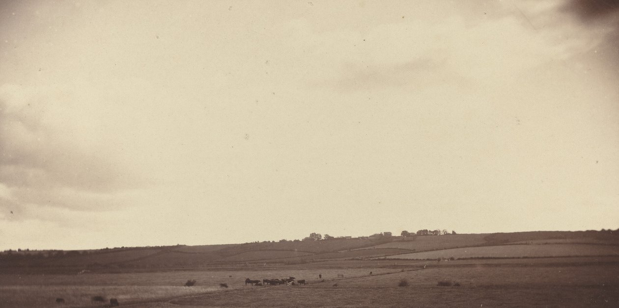 Vista dos campos com vacas, 1850-1860. de Unbekannt