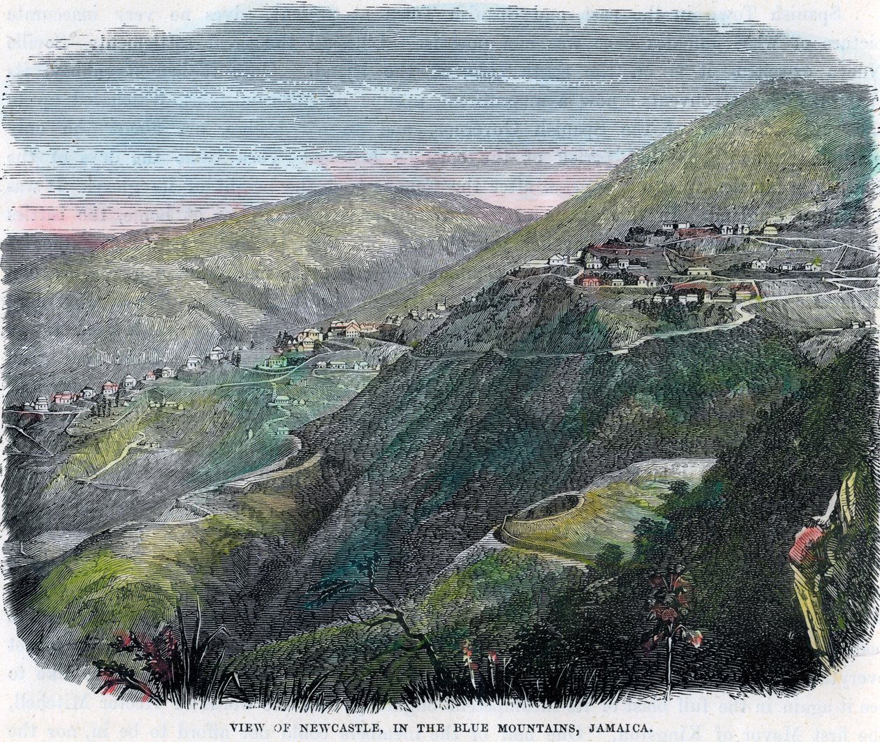 Vista de Newcastle, nas montanhas azuis, Jamaica, c1880 de Unbekannt