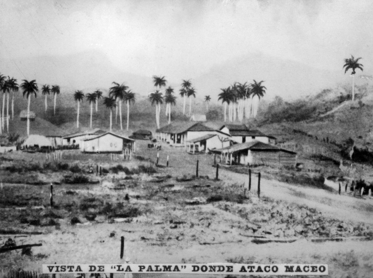Vista de Palma, 1896, 1920 de Unbekannt