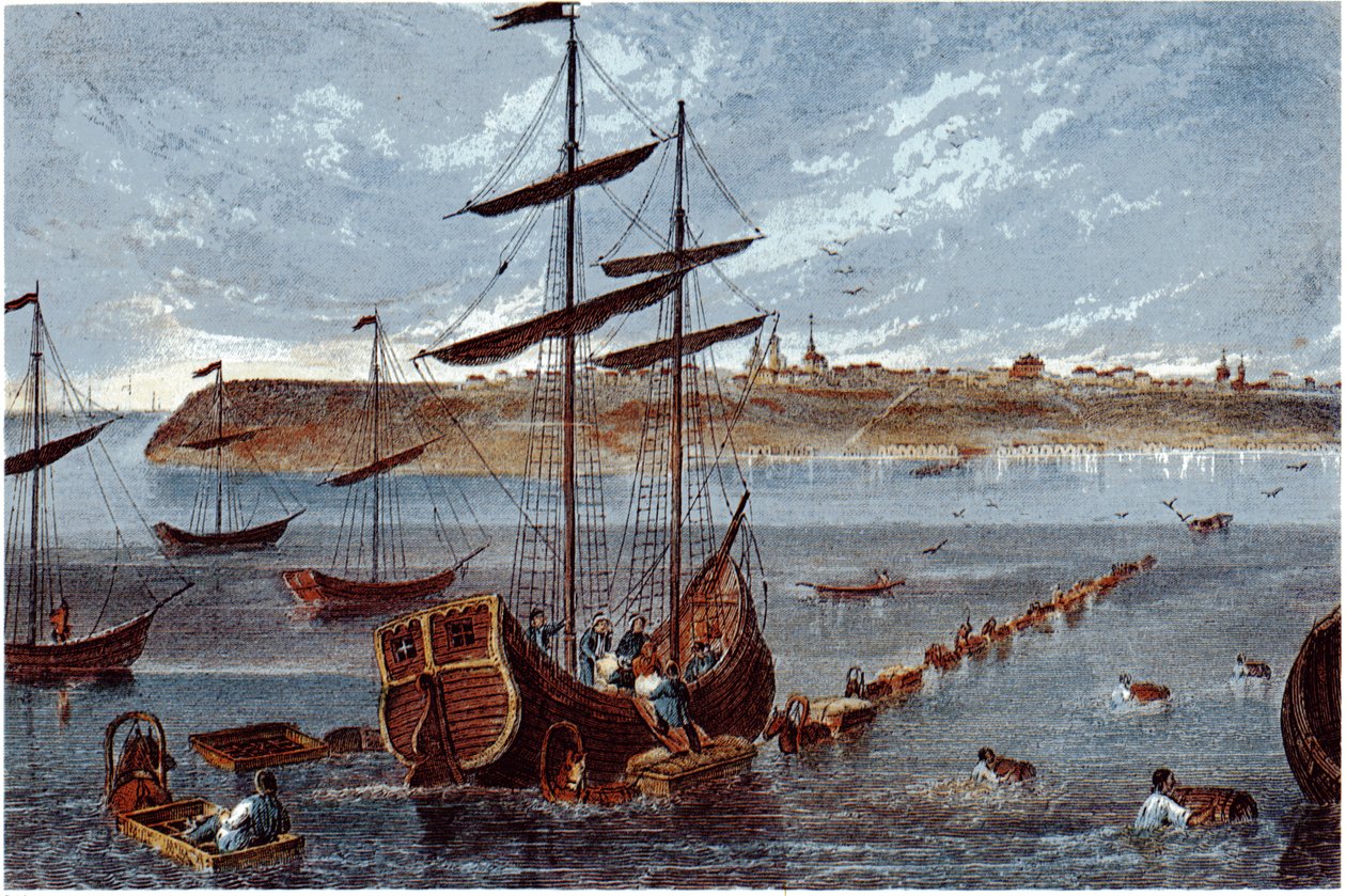 Vista de Taganrog, c. 1840 de Unbekannt