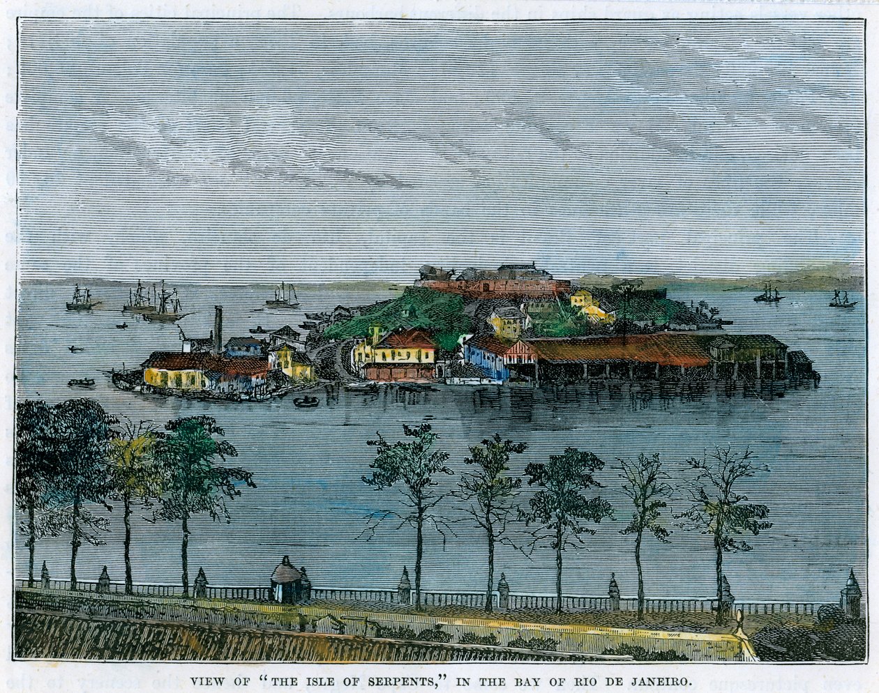 Vista da Ilha das Serpentes, na Baía do Rio de Janeiro, Brasil, c1880 de Unbekannt