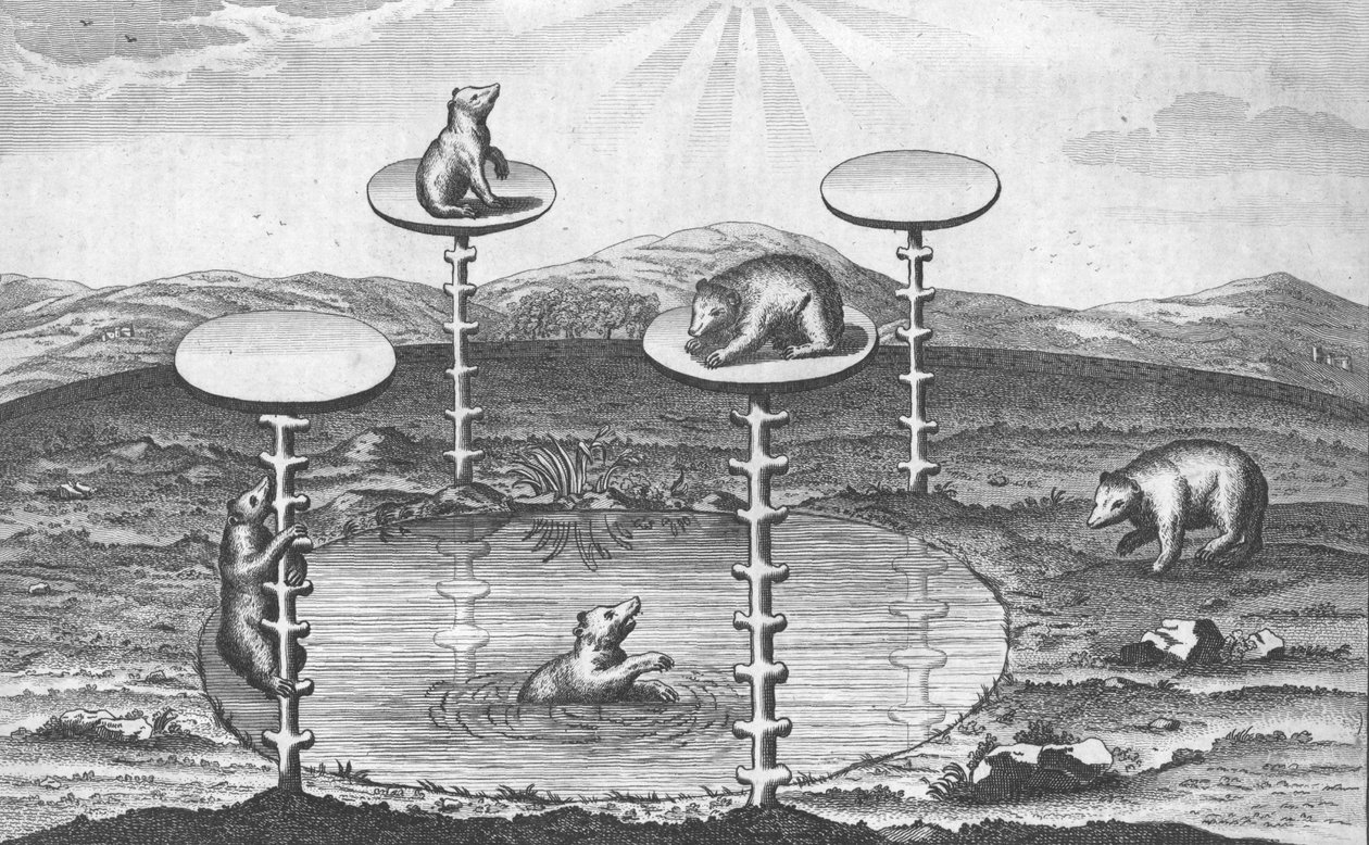 Opinião o eleitor do Saxonys Bear-Garden, em Dresden na Alemanha, c1673. de Unbekannt
