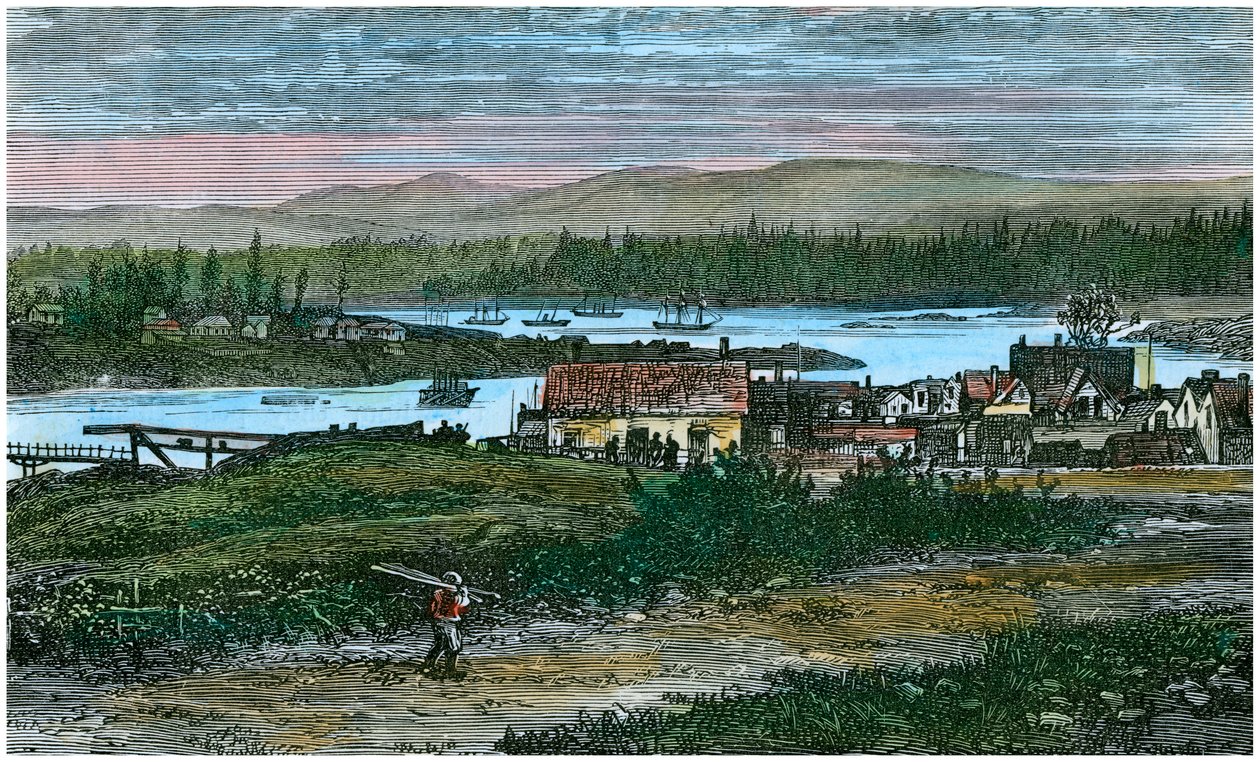 Vista dos subúrbios ocidentais de Victoria, Ilha de Vancouver, Colúmbia Britânica, Canadá, c1880 de Unbekannt