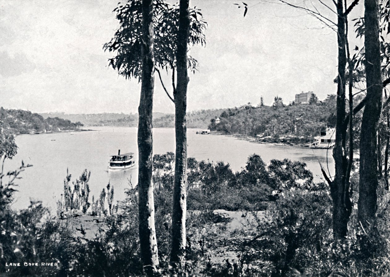 Vista no rio Lane Cove, c1900. de Unbekannt