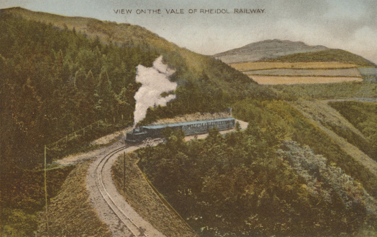 Vista no Vale of Rheidol Railway, início do século XX. de Unbekannt