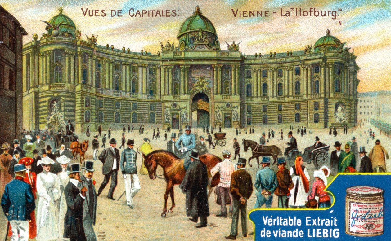 Vistas das capitais: Hofburg, Viena, c1900 de Unbekannt