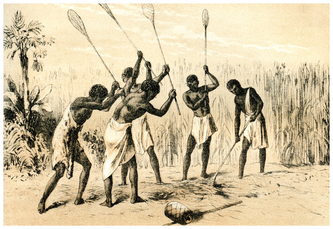 Ferreiros da aldeia, 1883 de Unbekannt
