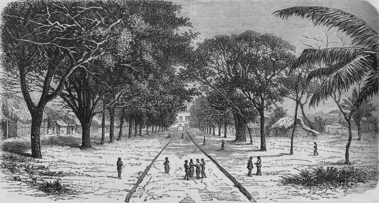 Aldeia na costa oeste da África, c1880 de Unbekannt