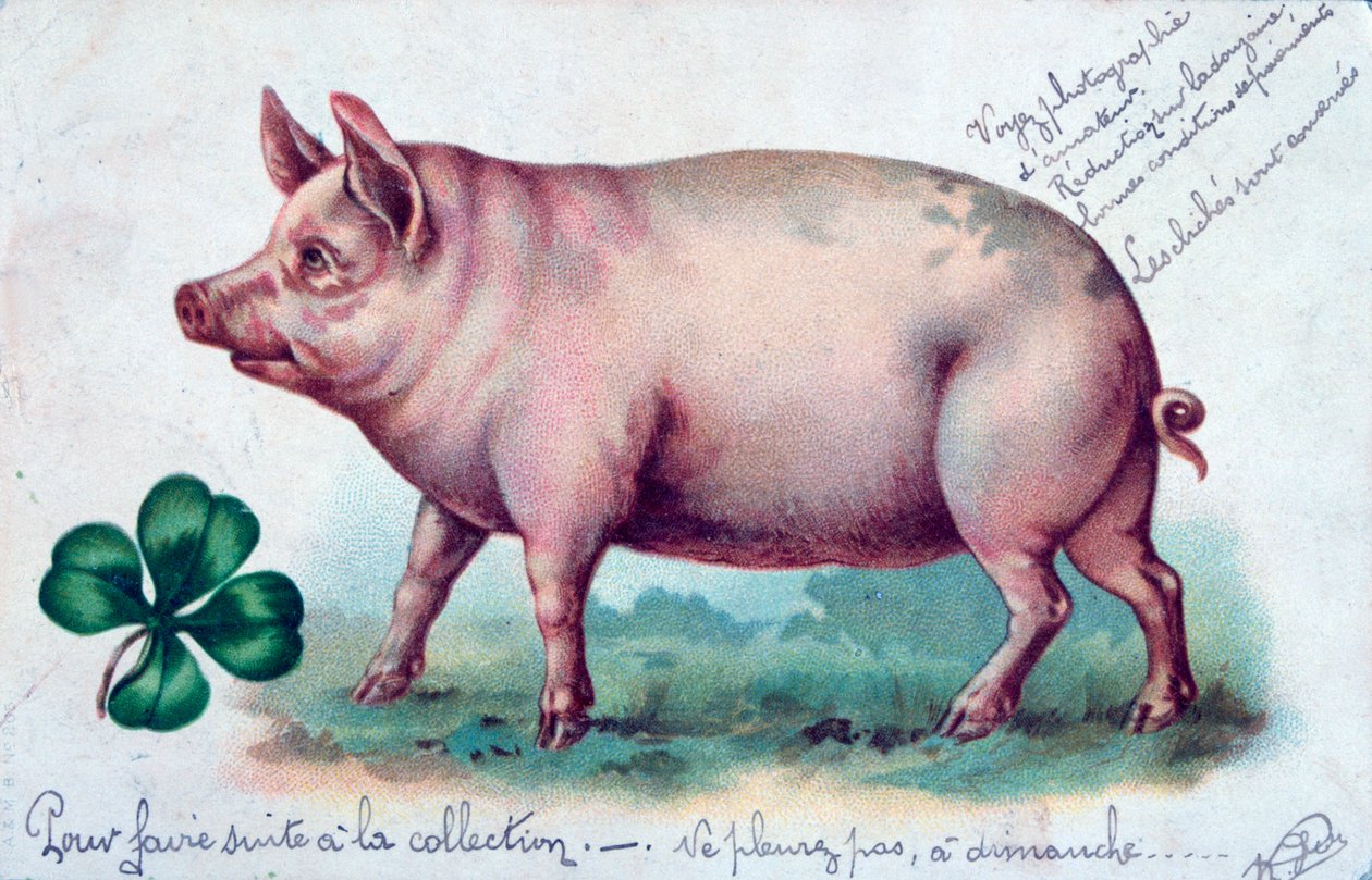 Cartão francês do vintage, c1900 de Unbekannt