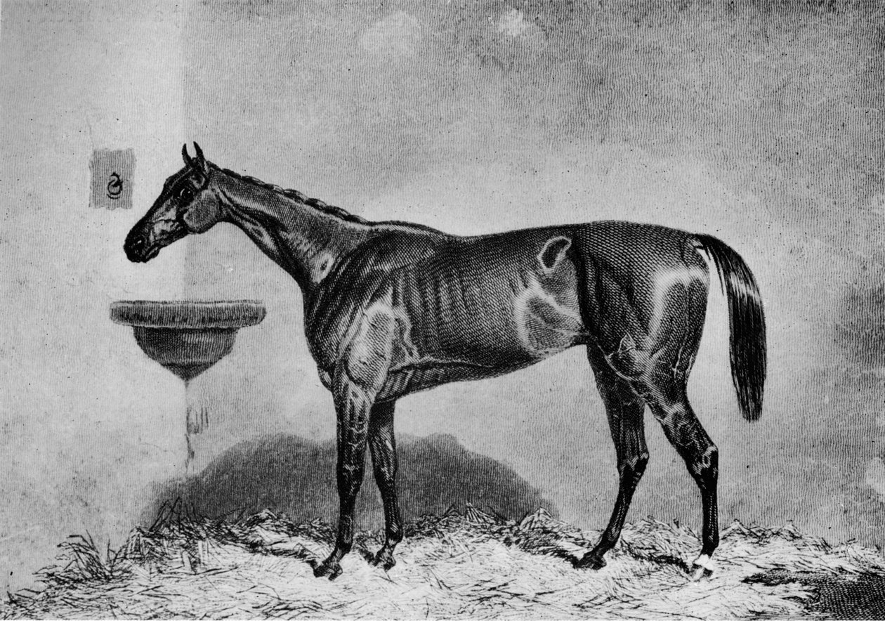 Virago, 1851-1869, 1911 de Unbekannt
