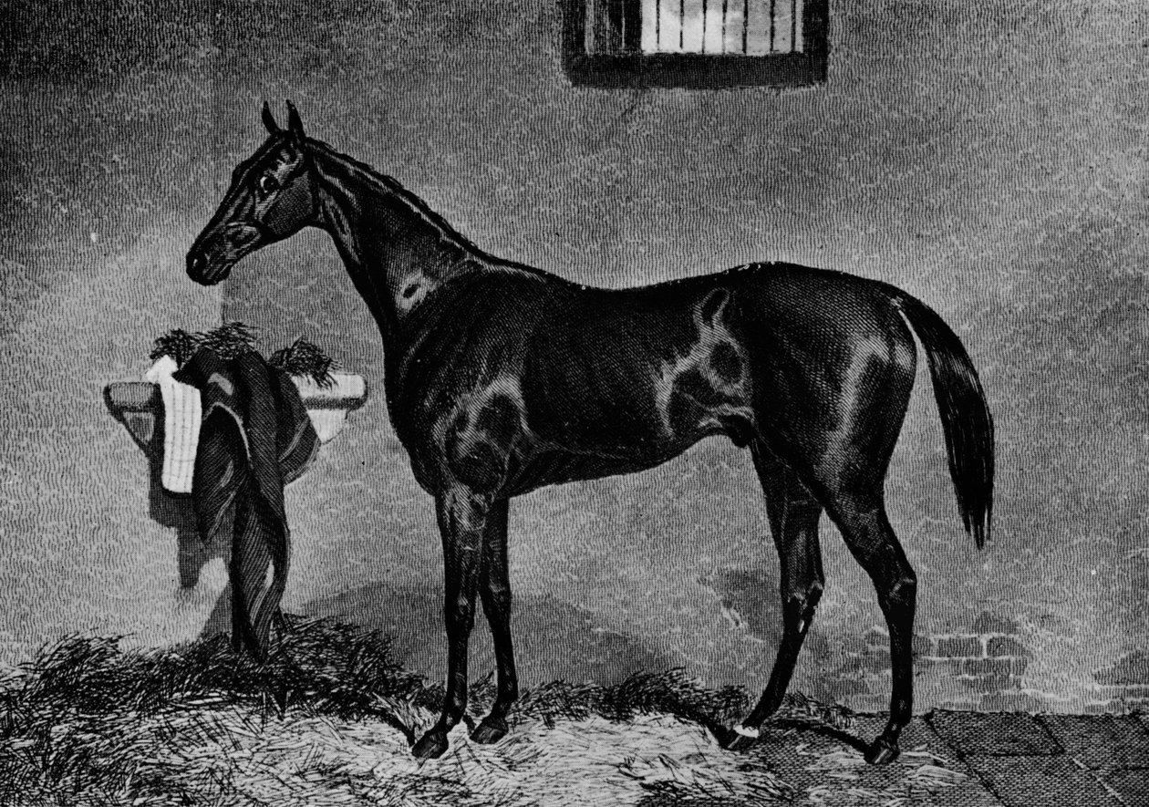 Voltigeur, 1847-1874, 1911 de Unbekannt