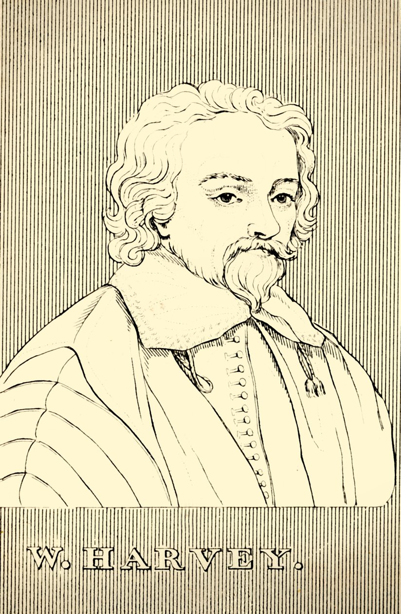 W. Harvey, 1578-1657, 1830. de Unbekannt