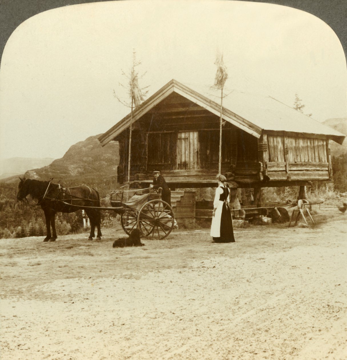 Esperando passageiros na estrada perto de Bolkesjo, Noruega, c1905. de Unbekannt