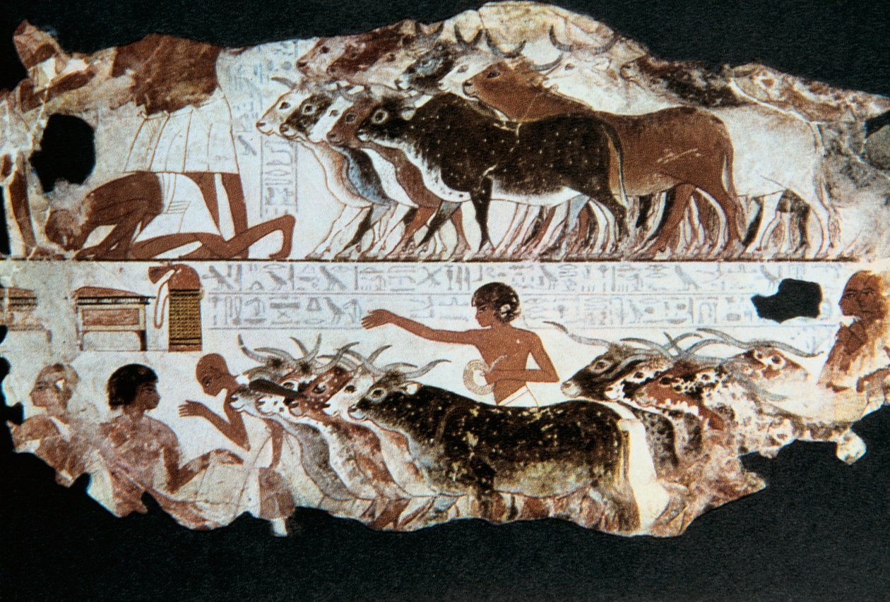 Pintura de parede do túmulo de Nebarunun, Tebas, Egito, c1350 aC de Unbekannt