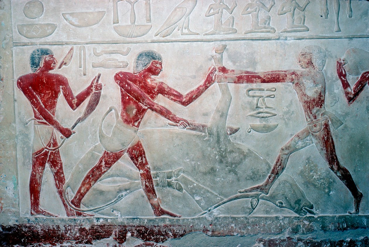 Pintura mural de 3 açougueiros cortando uma carcaça, Tumba de Idut, 5ª Dinastia, c2350 aC de Unbekannt