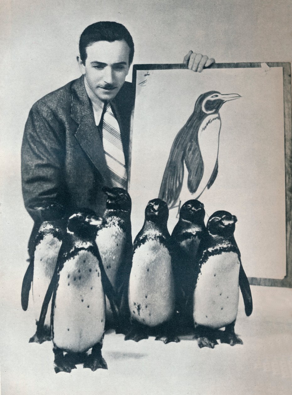 Walt Disney com pinguins, 1934 1935 de Unbekannt