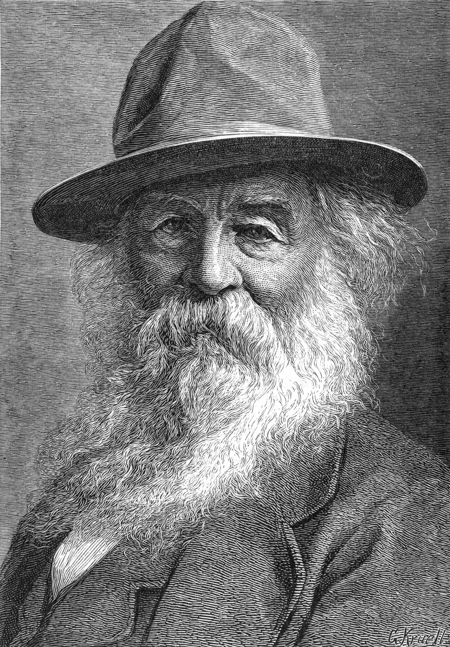 Walt Whitman 1819-1892, poeta americano, c1880s de Unbekannt