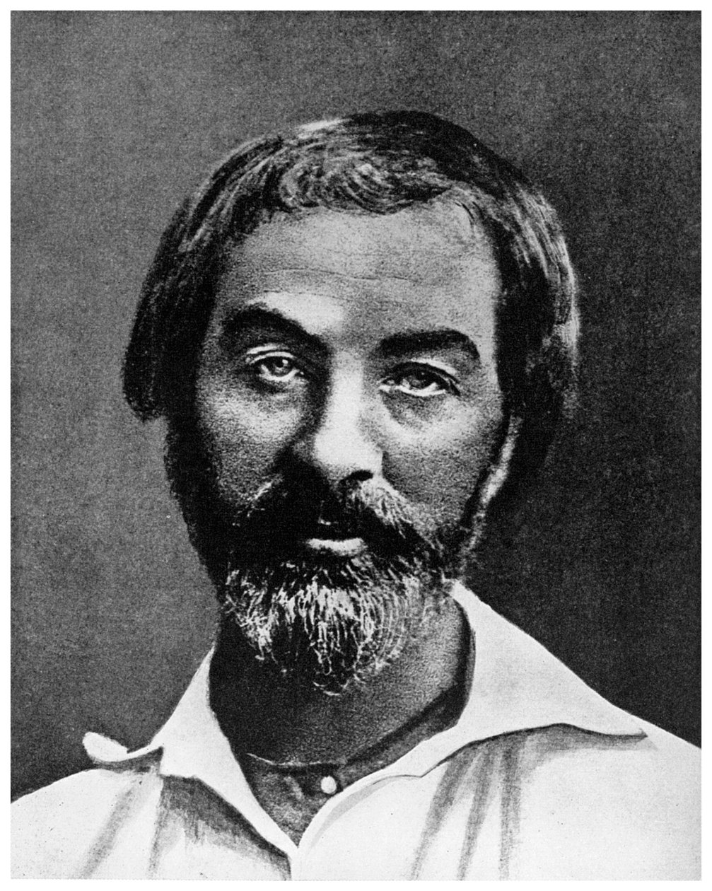 Walt Whitman, poeta americano, século XIX, 1956 de Unbekannt