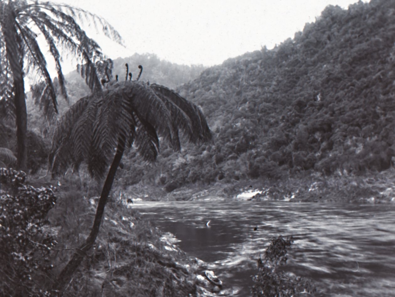 Rio Wanganui, final do século XIX-início do século XX. de Unbekannt