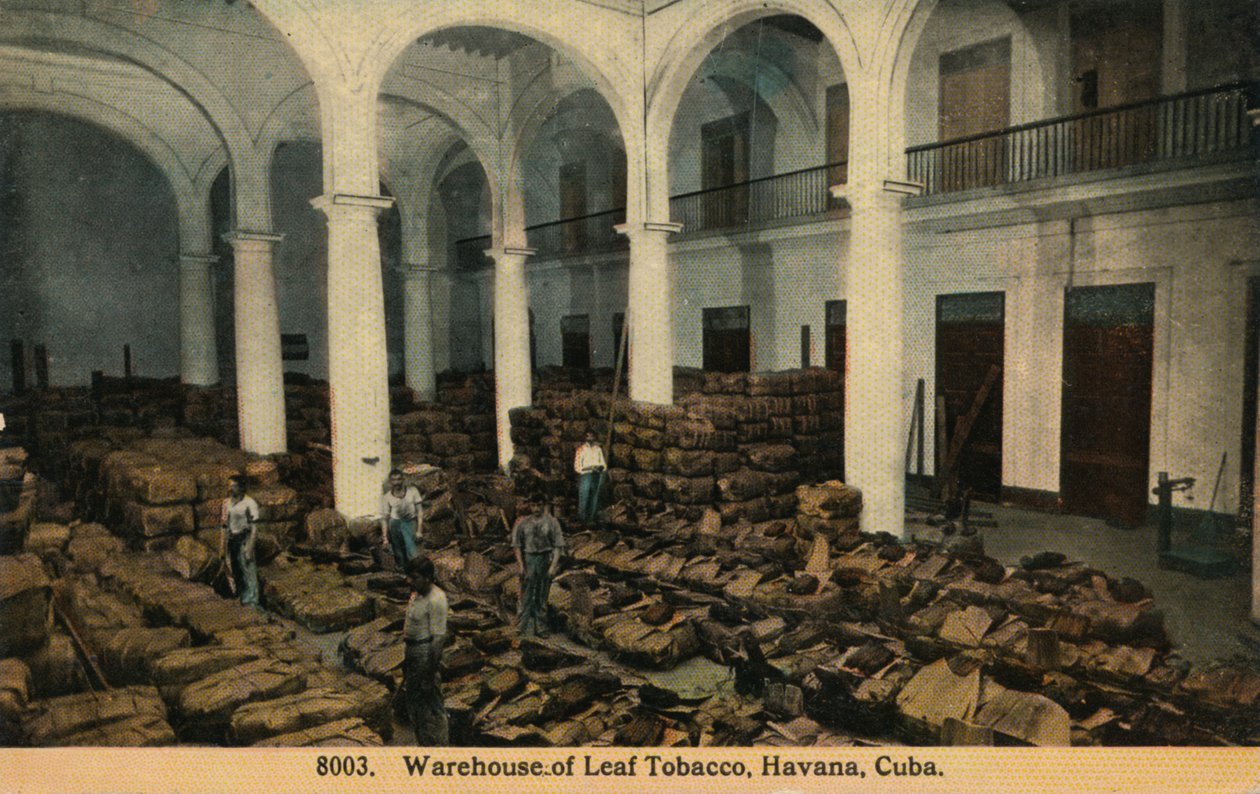 Armazém de tabaco em folha, Havana, Cuba, c1910 de Unbekannt