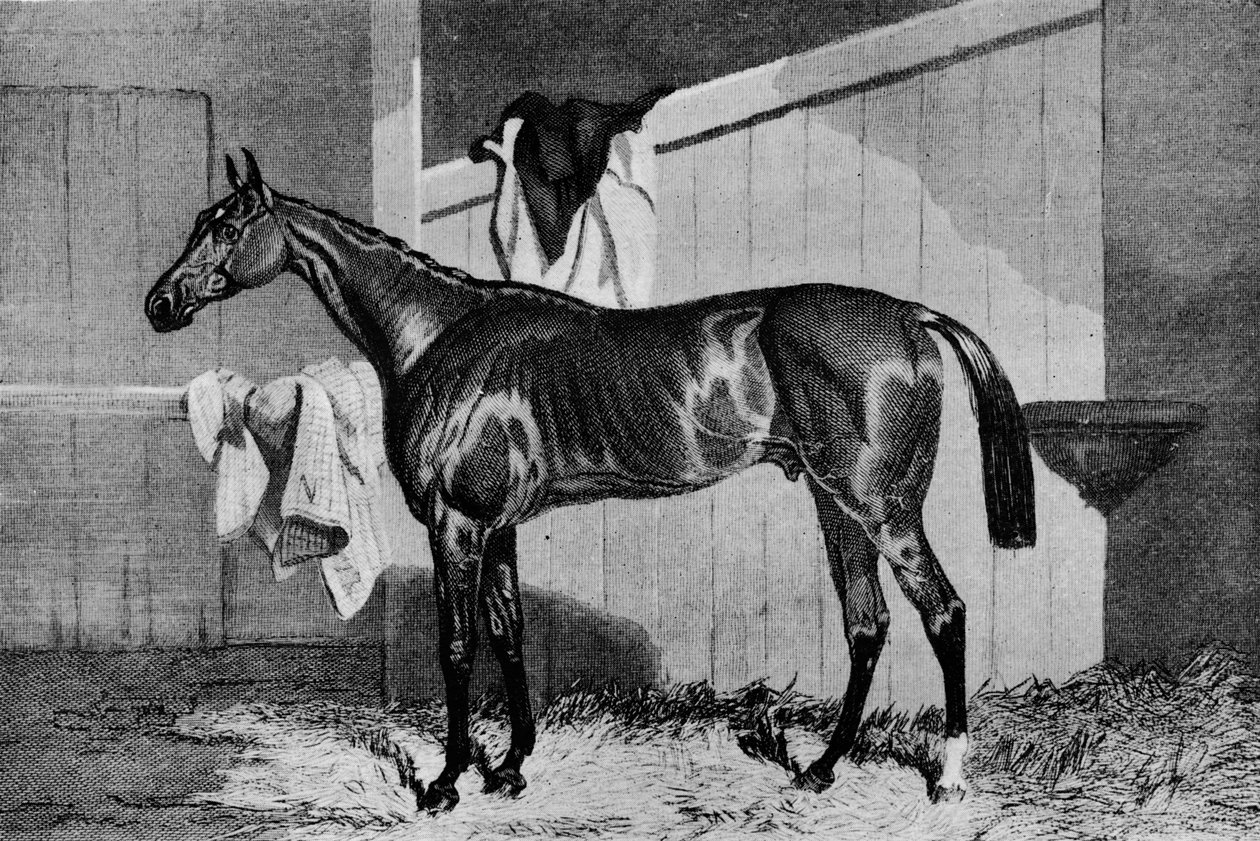 Bruxo, século XIX, 1911 de Unbekannt