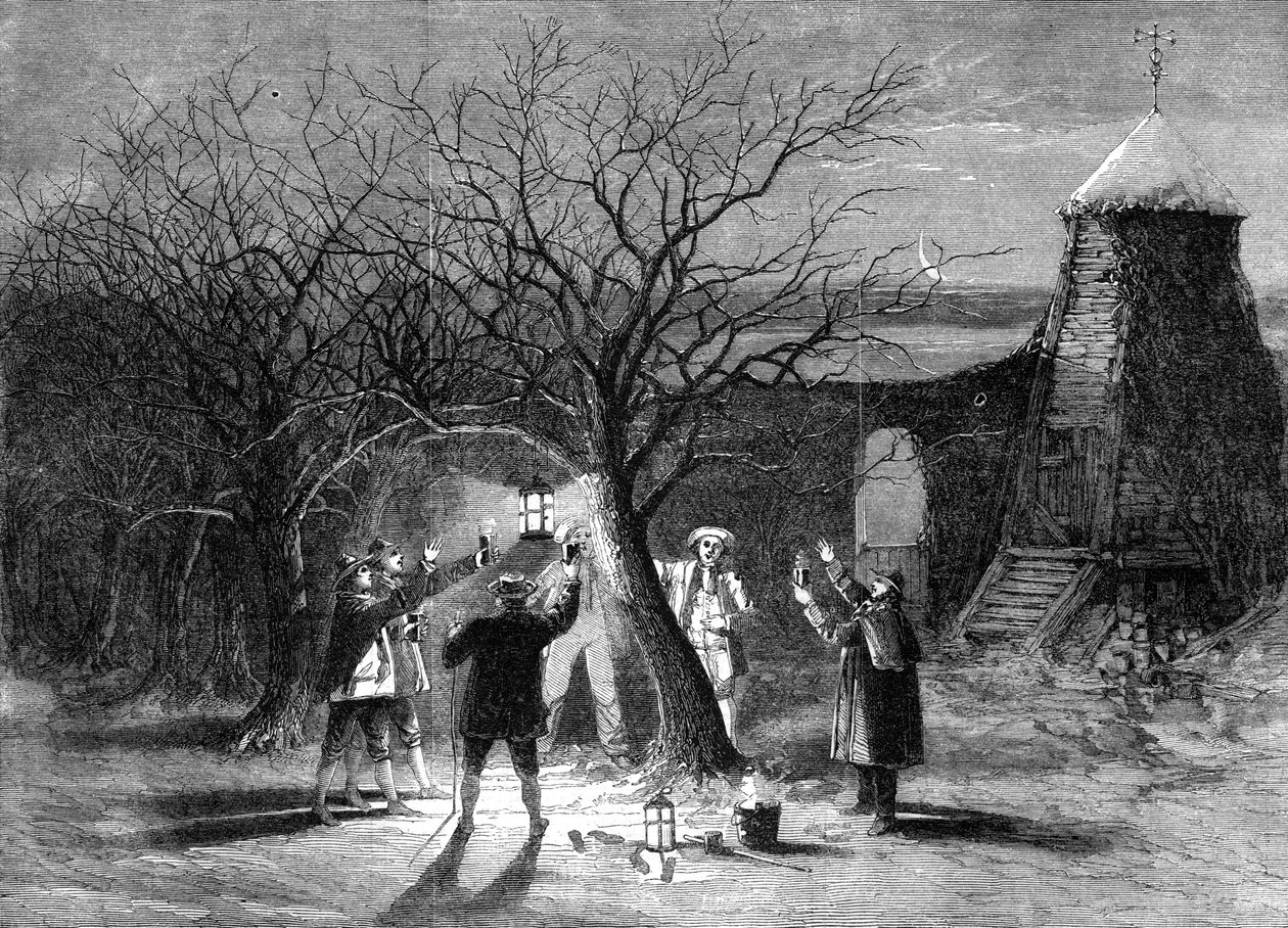 Wassailing macieiras com cidra quente em Devonshire na décima segunda véspera de 1861 de Unbekannt