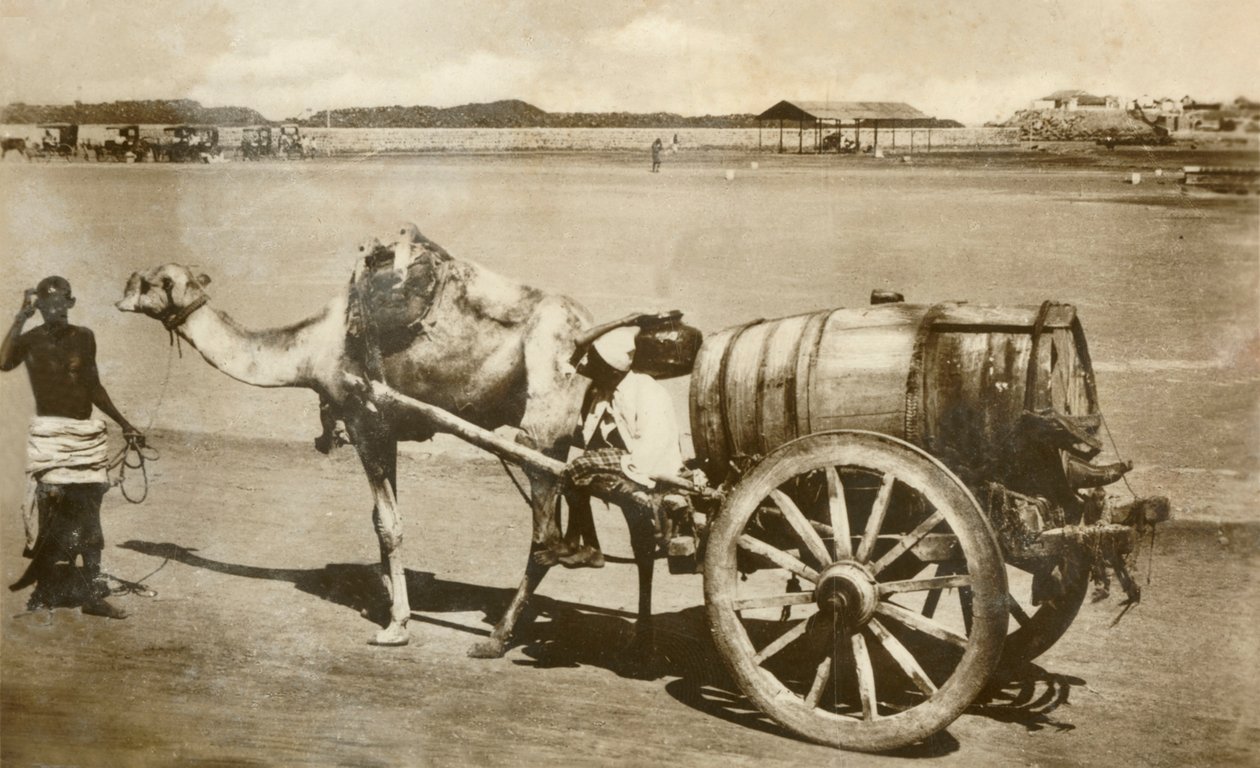 Carrinho de água, Áden, c1918-c1939. de Unbekannt