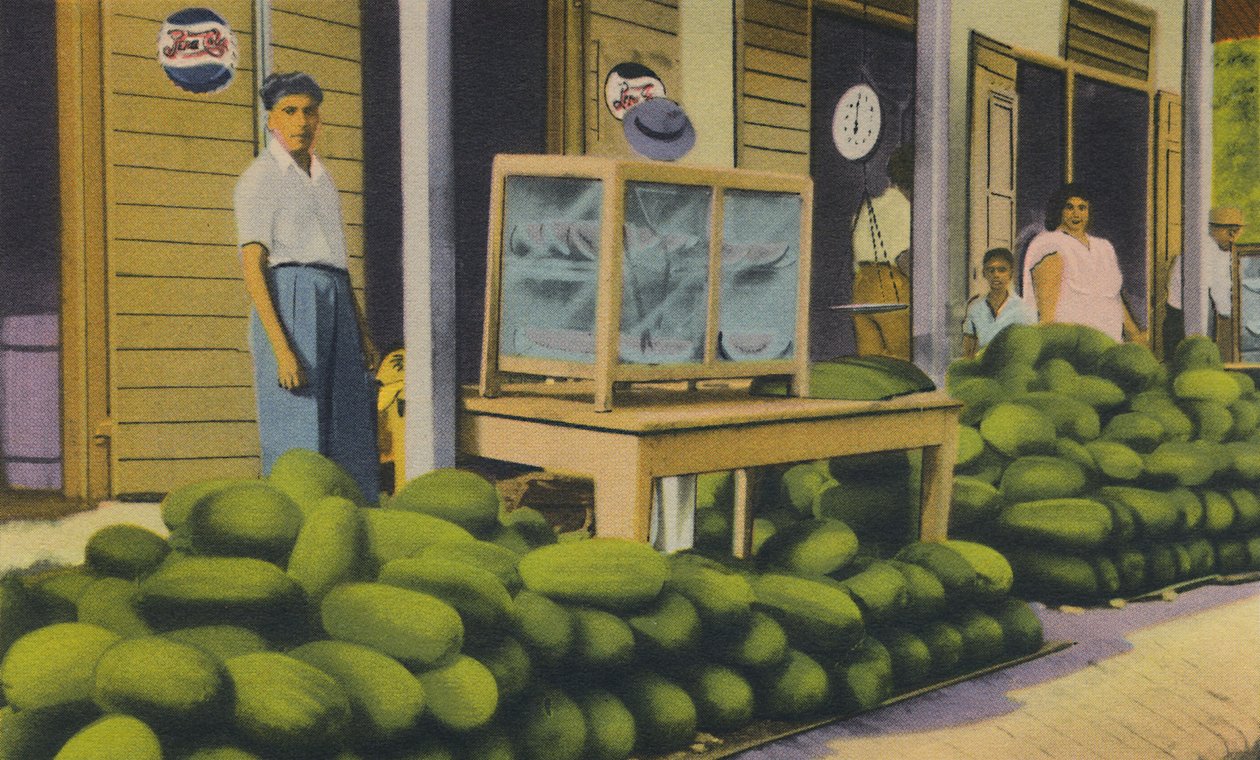 Melancias à venda, Trinidad, BWI, c1940s. de Unbekannt