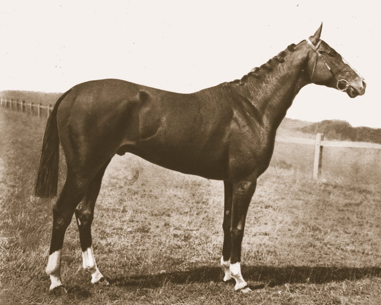 Weathercock, 1911. de Unbekannt