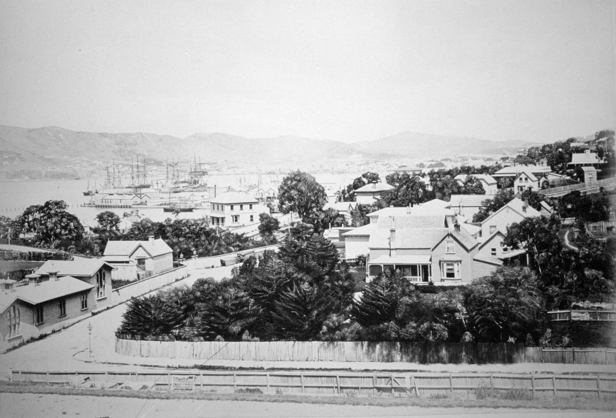Wellington, Nova Zelândia, 1875 de Unbekannt
