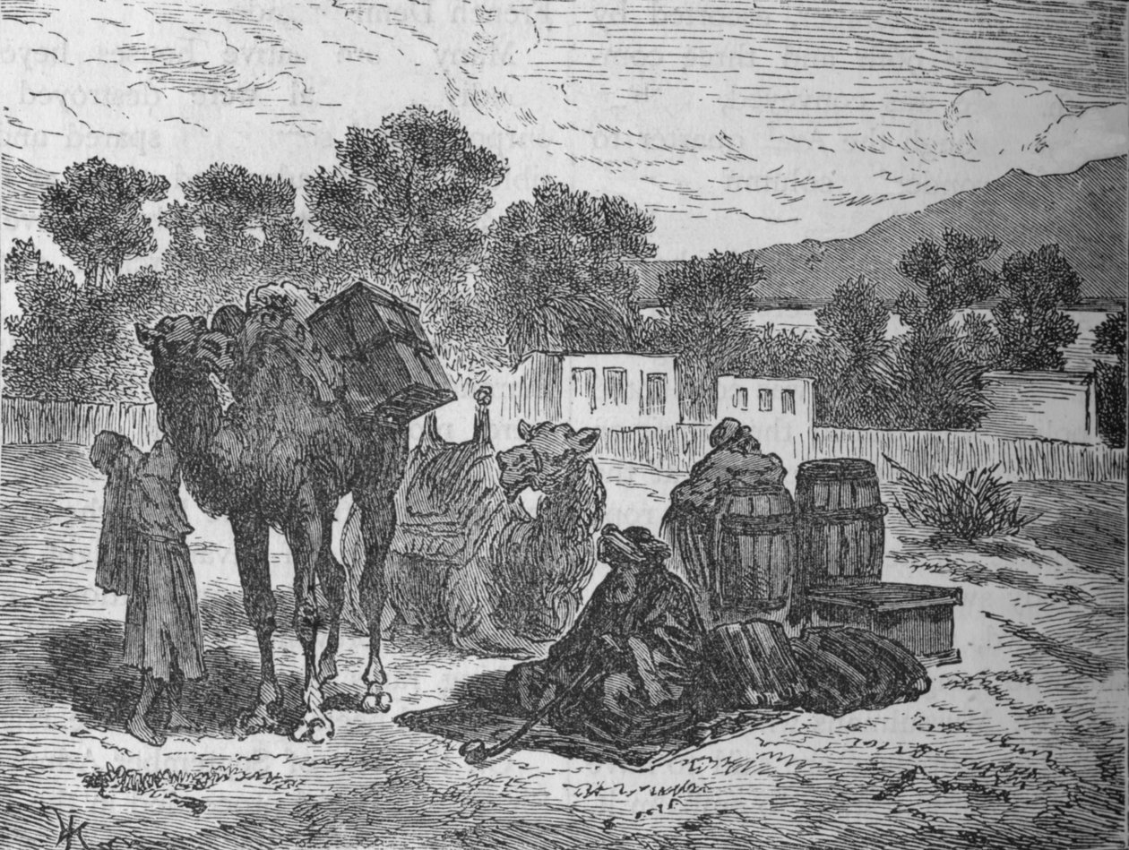 Poços de Moisés, perto de Suez, c1882 de Unbekannt