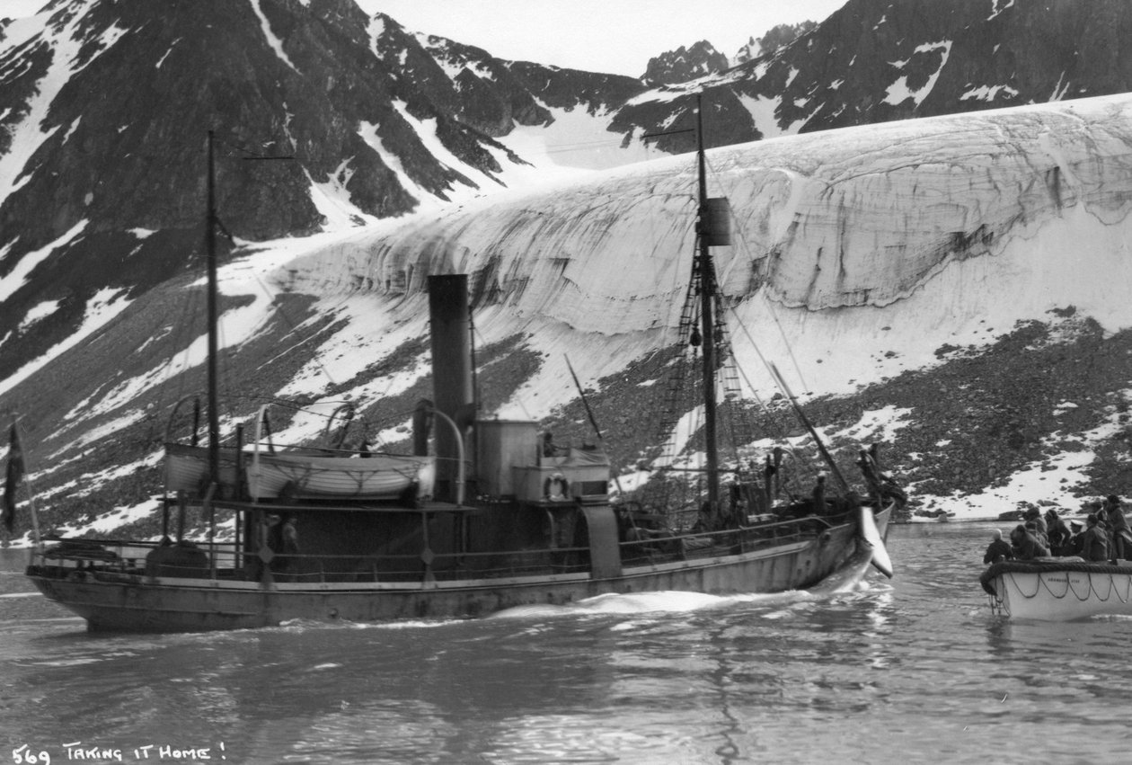 Baleia, Magdalene Bay, Spitzbergen, Noruega, 1929 de Unbekannt