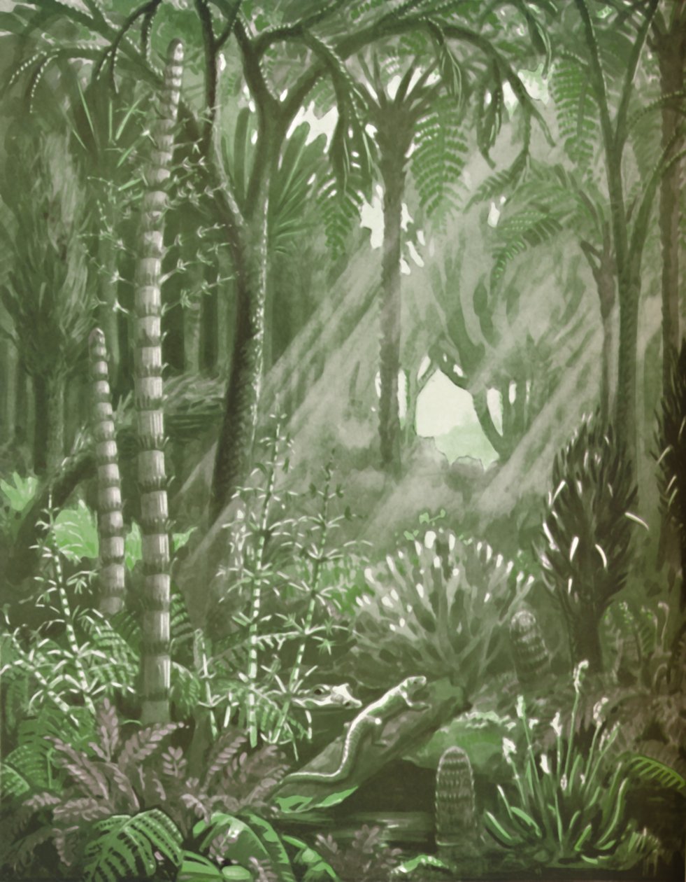 Como eram as poderosas florestas de carvão, 1935 de Unbekannt